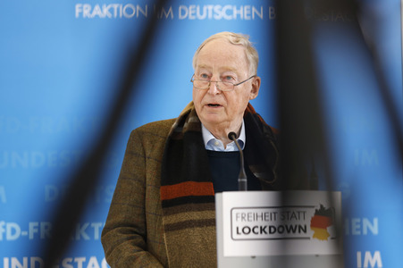 Pressestatement der AfD in Berlin