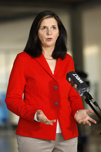 Pressestatement der Grünen in Berlin