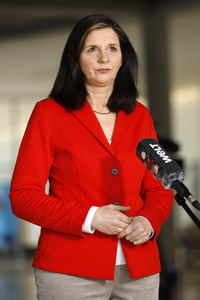 Pressestatement der Grünen in Berlin