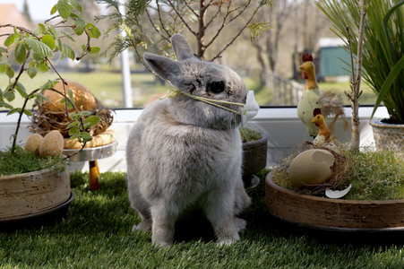 Symbolfoto Ostern im Lockdown