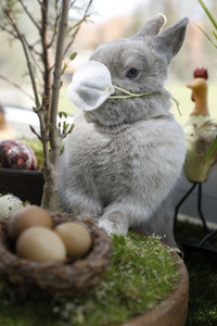 Symbolfoto Ostern im Lockdown