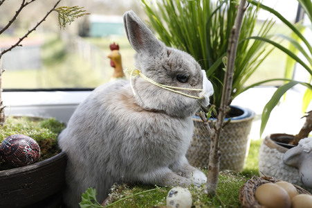 Symbolfoto Ostern im Lockdown