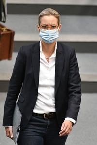 217. Sitzung des Deutschen Bundestages in Berlin