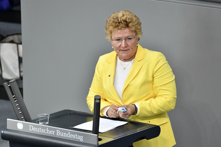 217. Sitzung des Deutschen Bundestages in Berlin