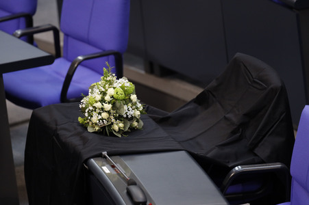 217. Sitzung des Deutschen Bundestages in Berlin