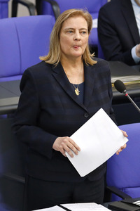 217. Sitzung des Deutschen Bundestages in Berlin