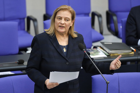 217. Sitzung des Deutschen Bundestages in Berlin