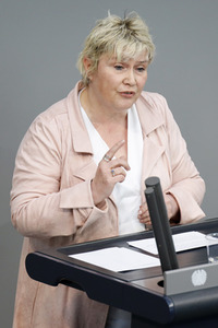 217. Sitzung des Deutschen Bundestages in Berlin