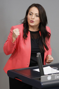 217. Sitzung des Deutschen Bundestages in Berlin