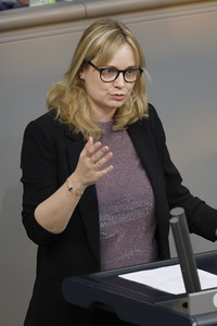 217. Sitzung des Deutschen Bundestages in Berlin