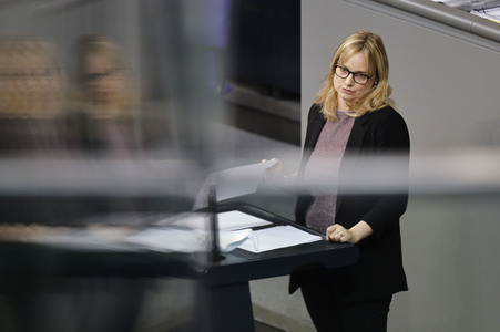 217. Sitzung des Deutschen Bundestages in Berlin