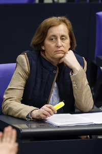 217. Sitzung des Deutschen Bundestages in Berlin