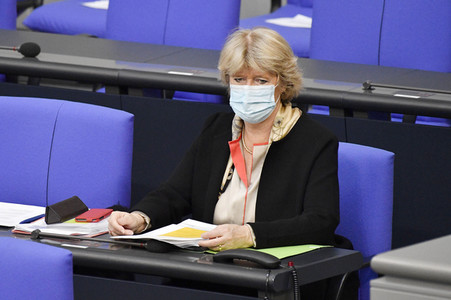 219. Sitzung des Deutschen Bundestages in Berlin