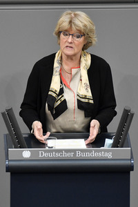 219. Sitzung des Deutschen Bundestages in Berlin