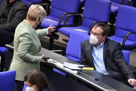 219. Sitzung des Deutschen Bundestages in Berlin