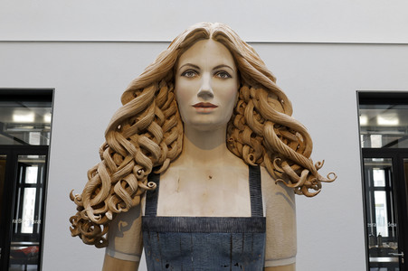 1002. Plenarsitzung des Bundesrates in Berlin