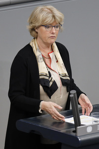 219. Sitzung des Deutschen Bundestages in Berlin