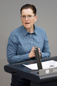 219. Sitzung des Deutschen Bundestages in Berlin