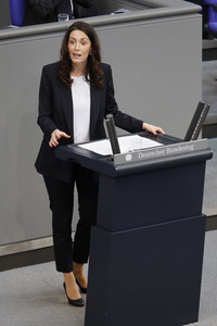 219. Sitzung des Deutschen Bundestages in Berlin