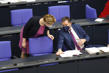 219. Sitzung des Deutschen Bundestages in Berlin