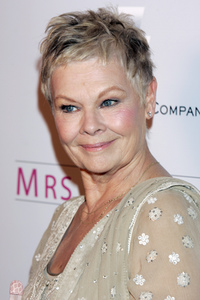 Filmpremiere 'Lady Henderson präsentiert' in Beverly Hills