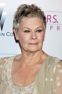 Filmpremiere 'Lady Henderson präsentiert' in Beverly Hills