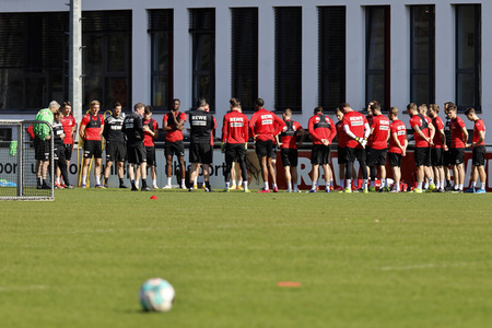 Training des 1. FC Köln