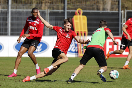 Training des 1. FC Köln