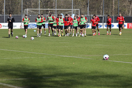 Training des 1. FC Köln