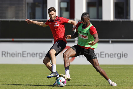 Training des 1. FC Köln