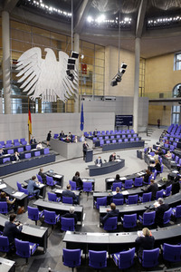 217. Sitzung des Deutschen Bundestages in Berlin