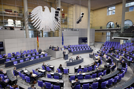 217. Sitzung des Deutschen Bundestages in Berlin