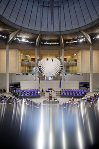 217. Sitzung des Deutschen Bundestages in Berlin