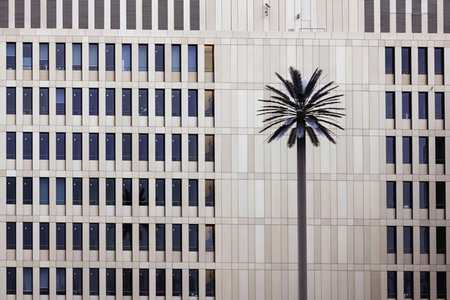 Der Bundesnachrichtendienst in Berlin