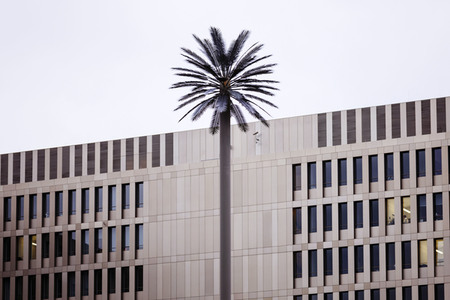 Der Bundesnachrichtendienst in Berlin