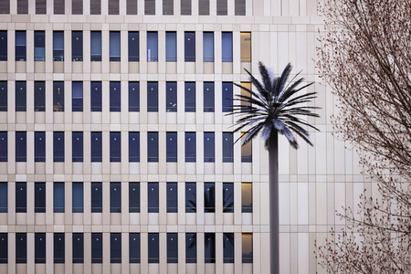 Der Bundesnachrichtendienst in Berlin