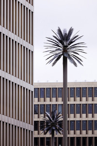 Der Bundesnachrichtendienst in Berlin