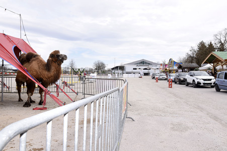Frühlings Drive-in in Erding