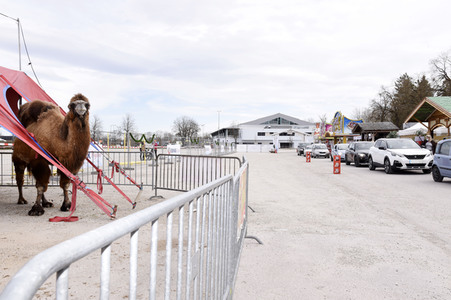 Frühlings Drive-in in Erding