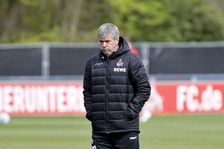 Training des 1. FC Köln