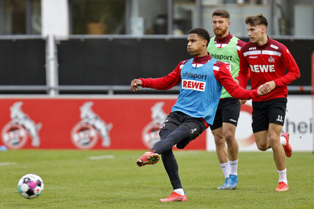Training des 1. FC Köln