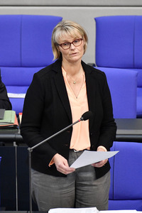 220. Sitzung des Deutschen Bundestages in Berlin