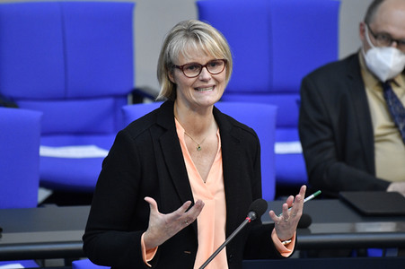 220. Sitzung des Deutschen Bundestages in Berlin