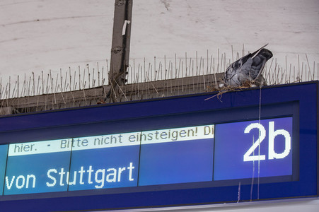 Der Hauptbahnhof in Tübingen
