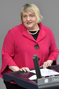 221. Sitzung des Deutschen Bundestages in Berlin