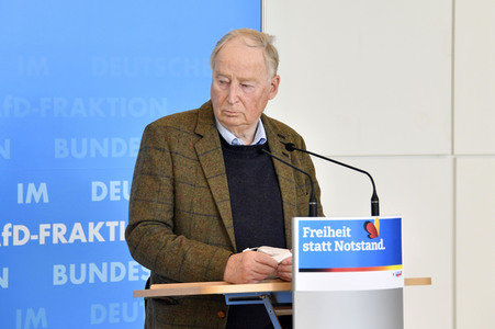 Pressestatement der AfD in Berlin