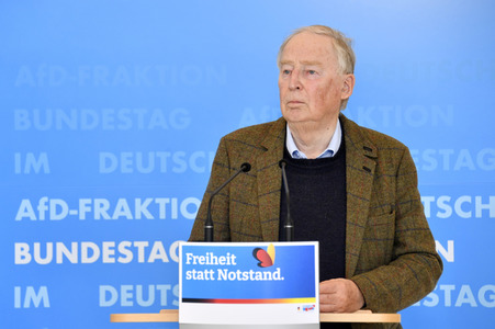 Pressestatement der AfD in Berlin