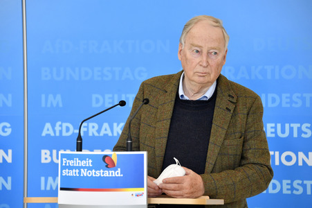 Pressestatement der AfD in Berlin