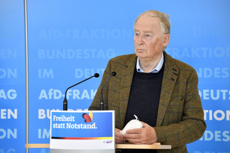 Pressestatement der AfD in Berlin