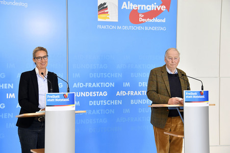 Pressestatement der AfD in Berlin